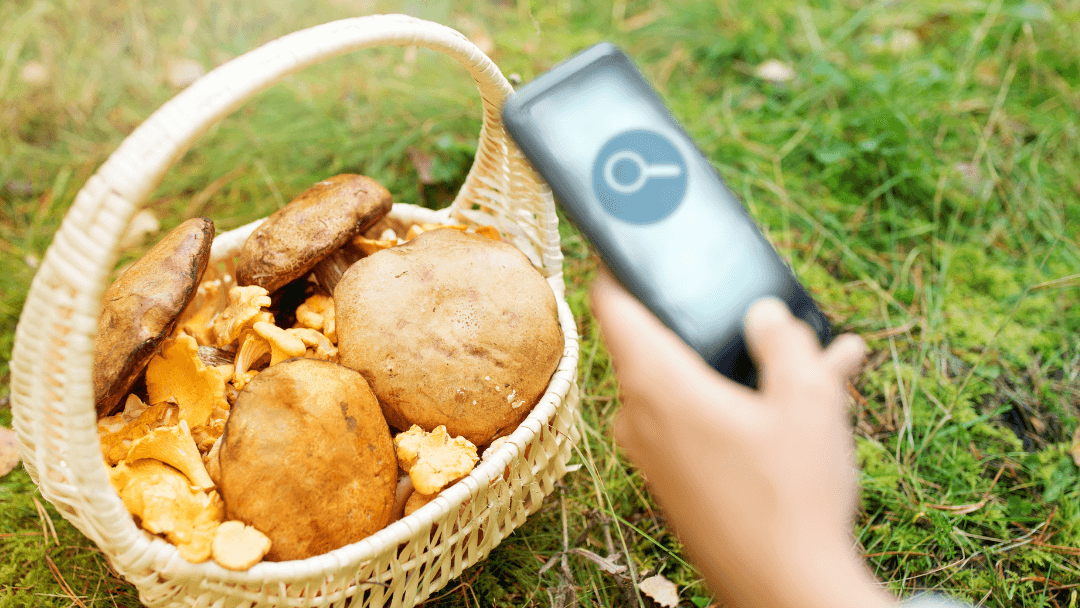 Visual Search in E-commerce: A Modern Search Solution using Real-world Images